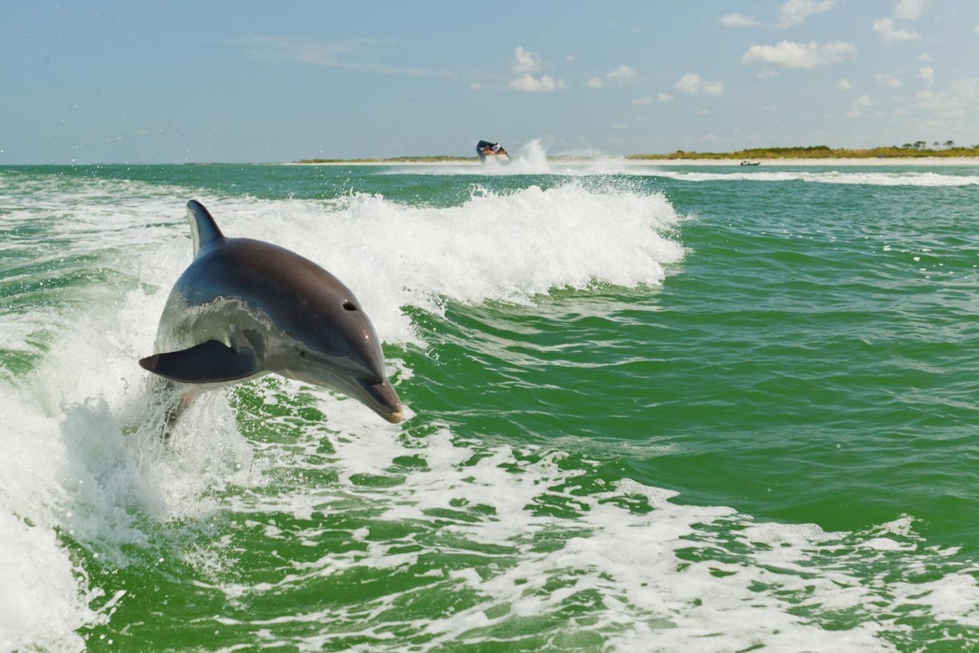 Holiday Inn & Suites Clearwater Beach S-Harbourside Exteriér fotografie